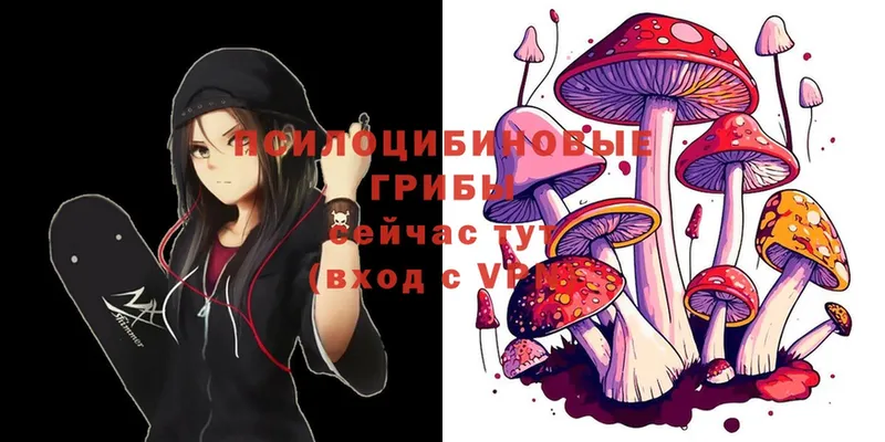 Псилоцибиновые грибы Magic Shrooms  Рассказово 