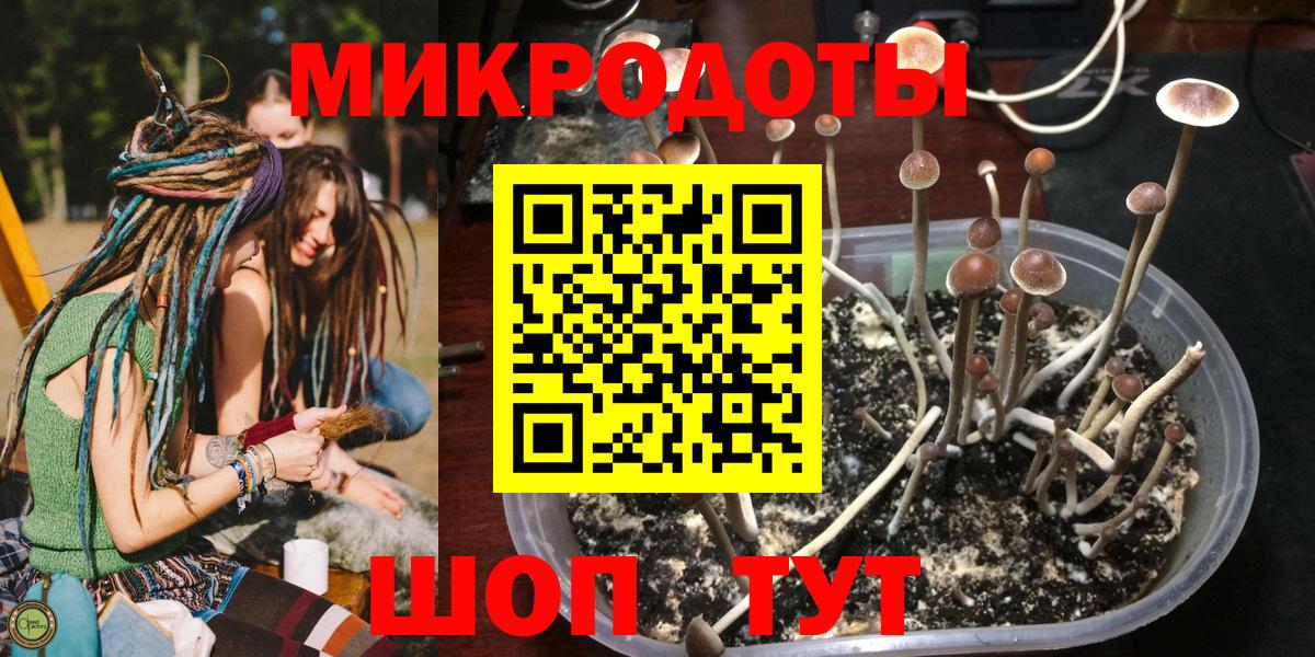 Псилоцибиновые грибы Cubensis  Псилоцибиновые грибы GOLDEN TEACHER  где можно купить   Рассказово  Вход с VPN 